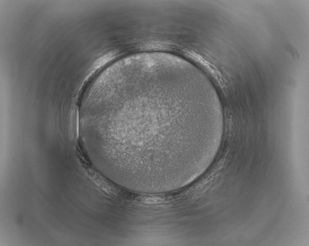 X0000115411219200912151534