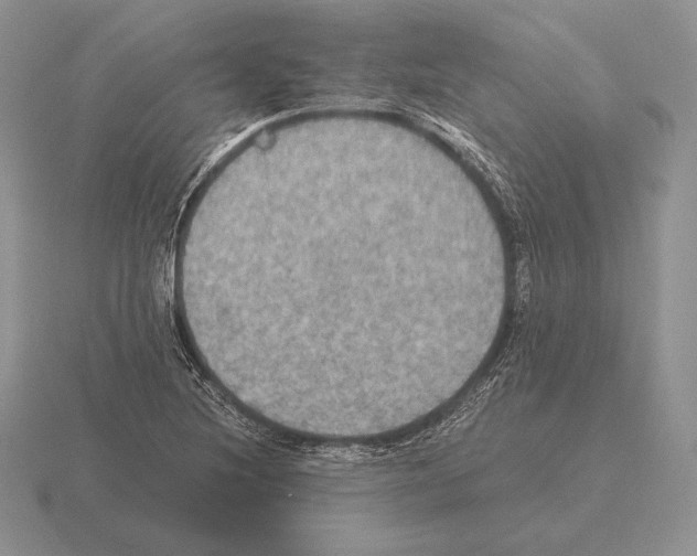 X0000115411220200912151534