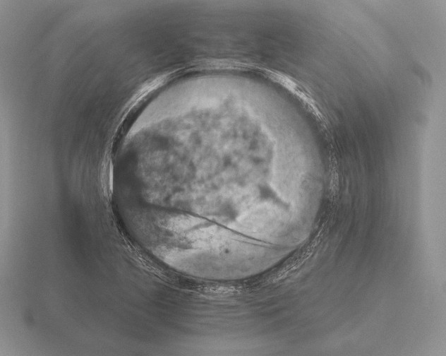 X0000115411221200912151534