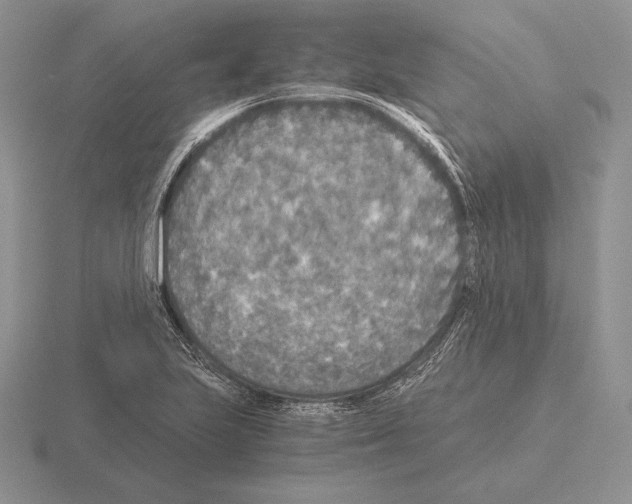 X0000115411223200912151534