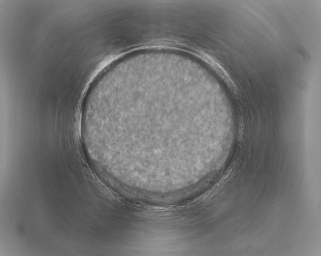 X0000115411224200912151534