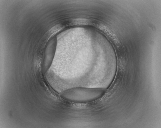 X0000115411225200912151534