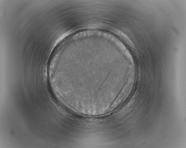 X0000115411226200912151534