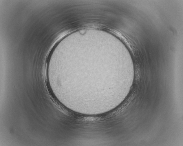 X0000115411227200912151534