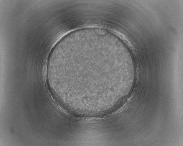 X0000115411228200912151534