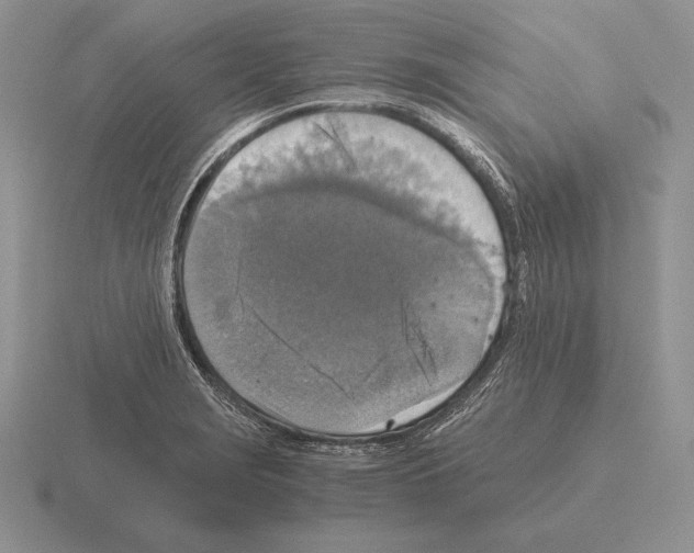 X0000115411229200912151534