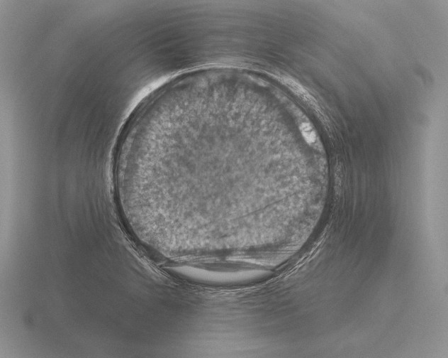 X0000115411230200912151534