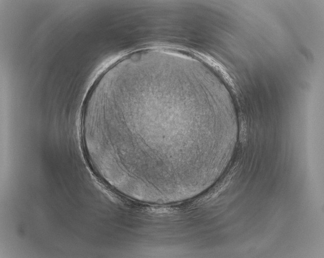 X0000115411231200912151534