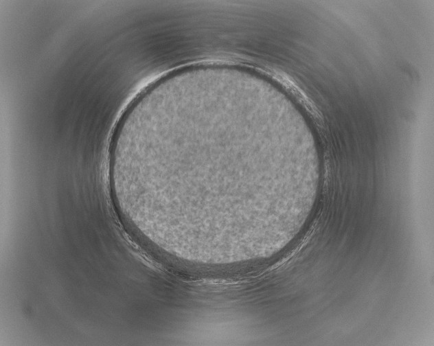 X0000115411232200912151534