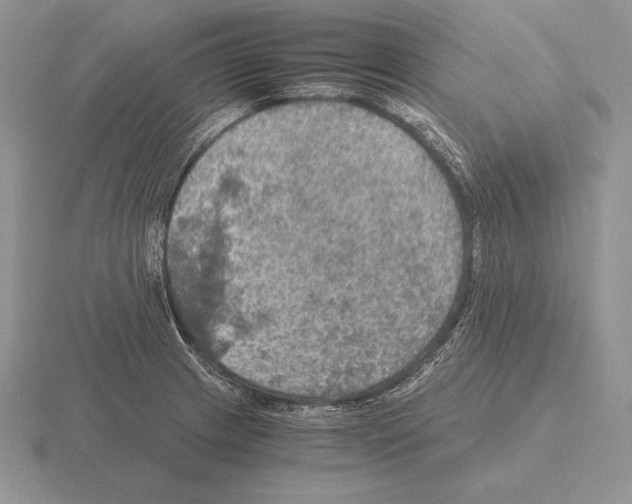 X0000115411233200912151534