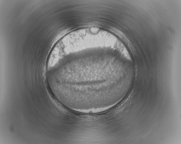 X0000115411234200912151534