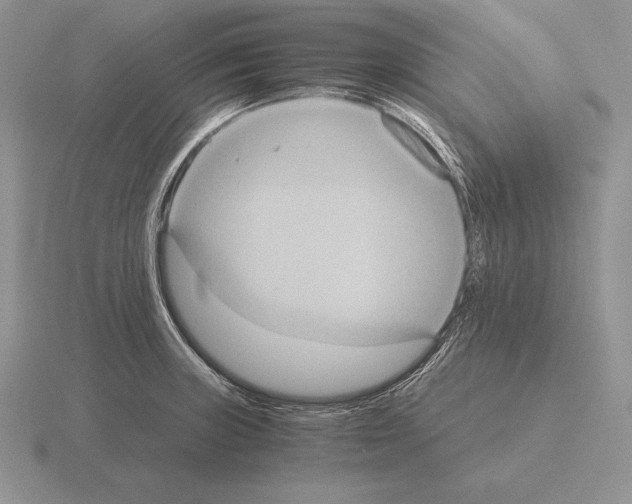 X0000115411235200912151534