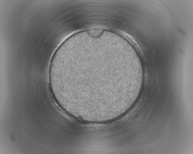 X0000115411236200912151534