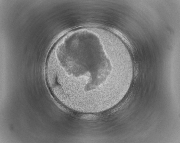 X0000115411237200912151534