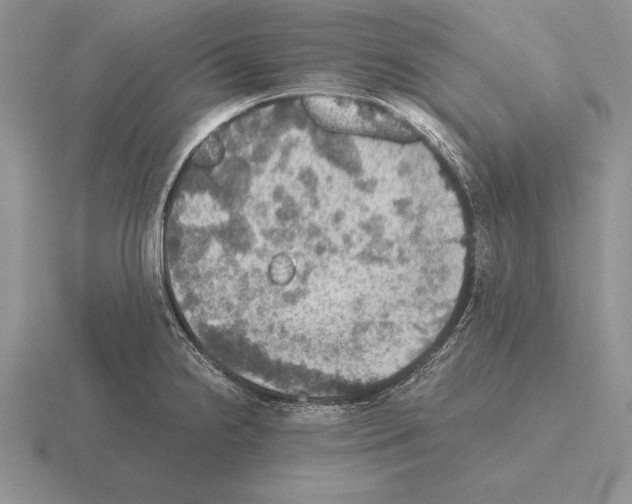 X0000115411238200912151535