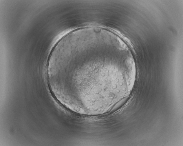 X0000115411239200912151535