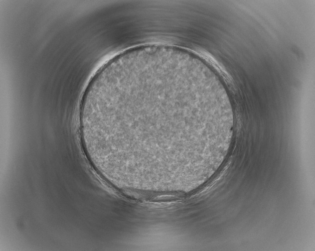 X0000115411240200912151535