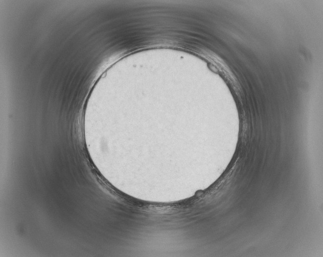 X0000115411242200912151535