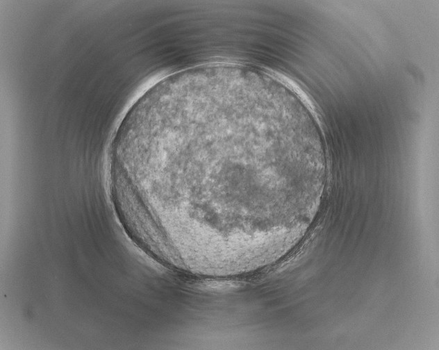 X0000115411243200912151535