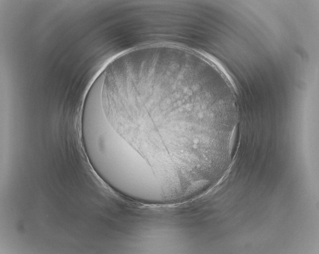 X0000115411244200912151535