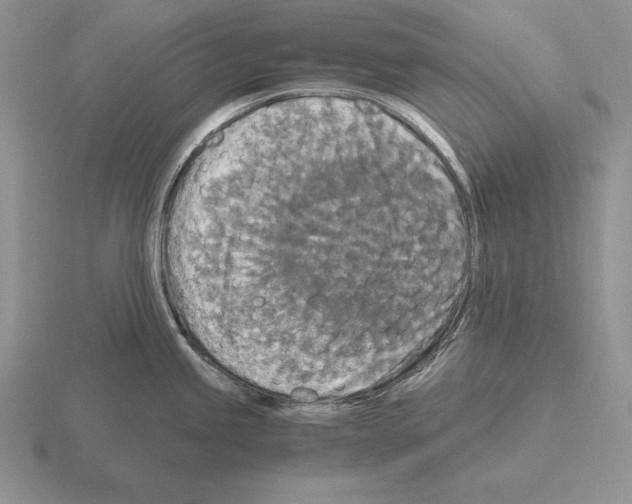 X0000115411245200912151535