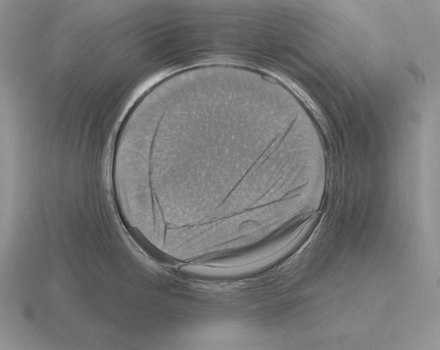 X0000115411246200912151535