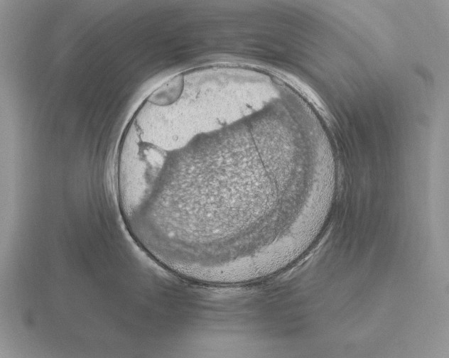 X0000115411247200912151535