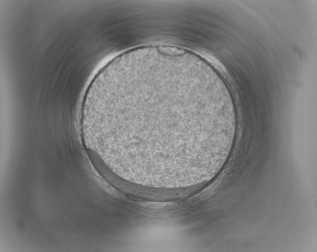 X0000115411248200912151535