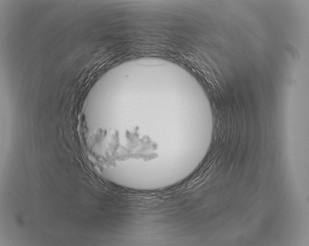 X0000115411249200912151534