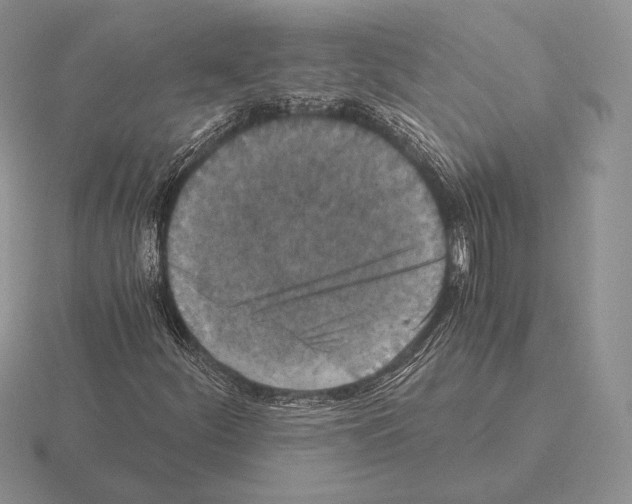 X0000115411252200912151534