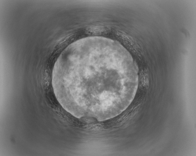 X0000115411253200912151534