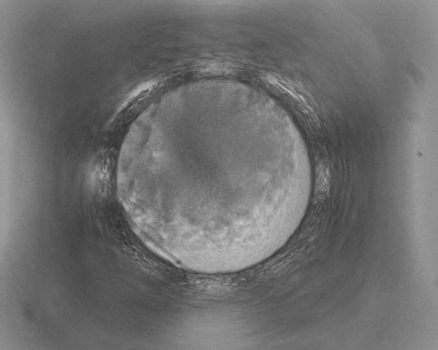 X0000115411254200912151534