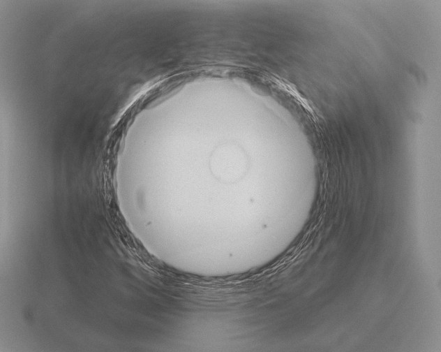 X0000115411256200912151534