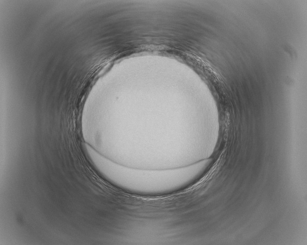 X0000115411257200912151534