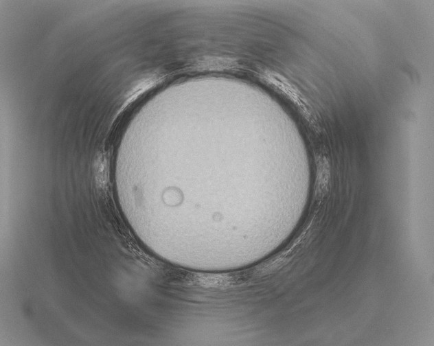 X0000115411258200912151534