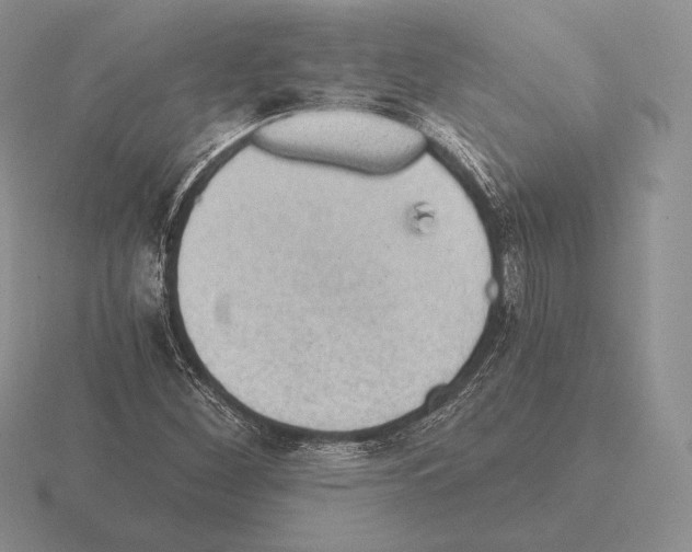 X0000115411260200912151534