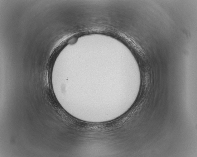 X0000115411262200912151534