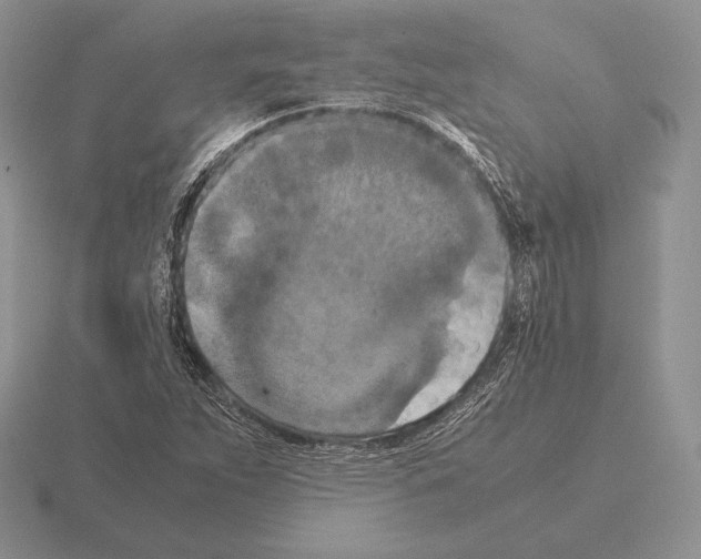 X0000115411263200912151534