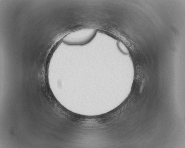 X0000115411264200912151534