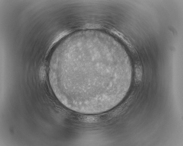 X0000115411266200912151534