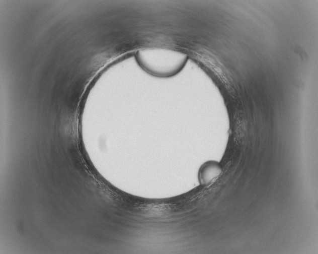 X0000115411268200912151534