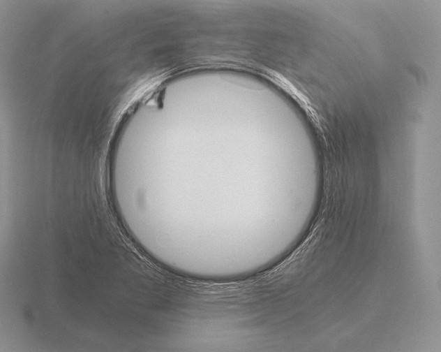 X0000115411269200912151534