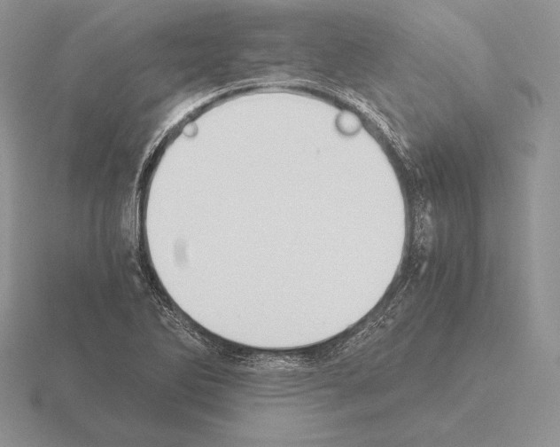 X0000115411270200912151534