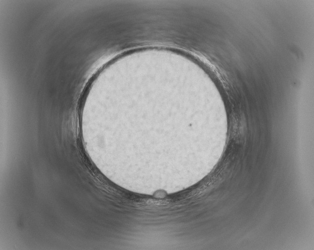 X0000115411271200912151534