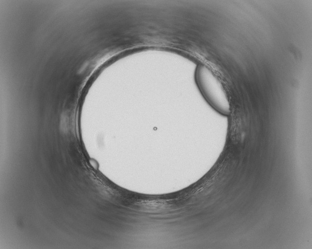 X0000115411272200912151534