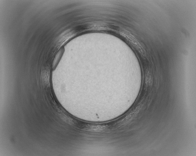 X0000115411273200912151534