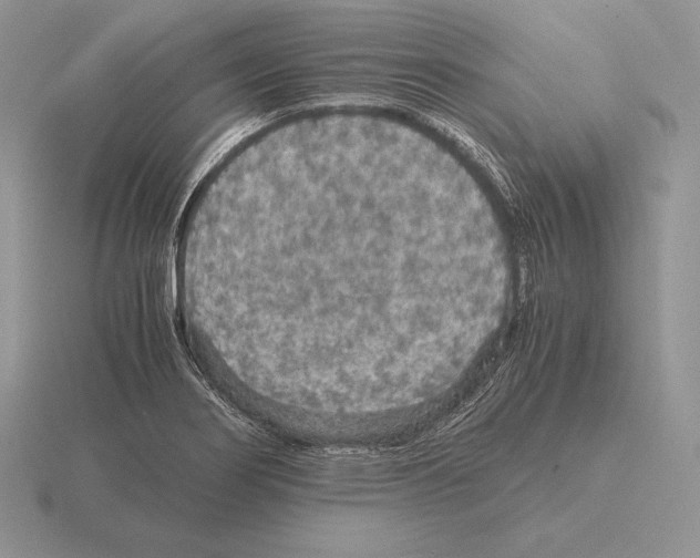 X0000115411274200912151534