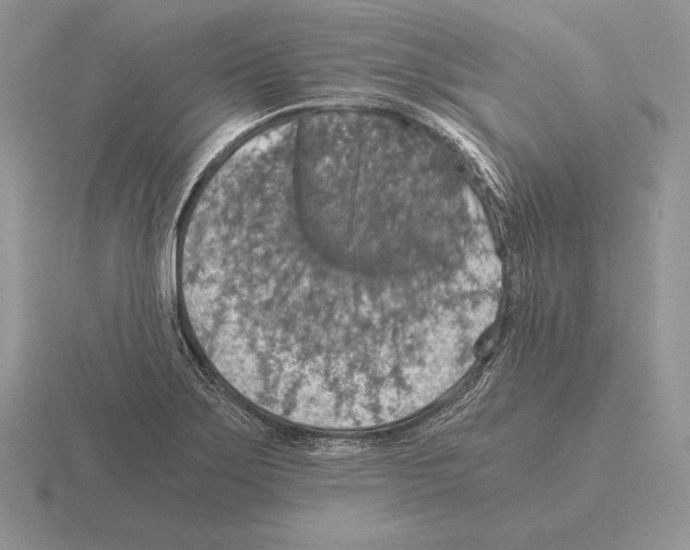 X0000115411275200912151534