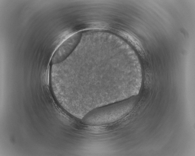 X0000115411276200912151534