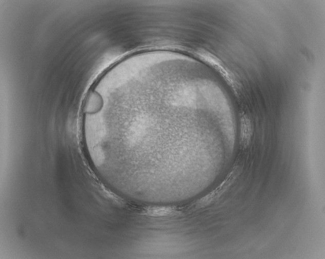 X0000115411278200912151533